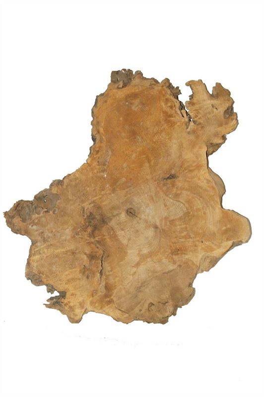 Teak schijf 50-60 cm naturel