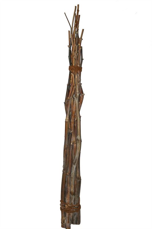 Bundel fenckel met touw naturel