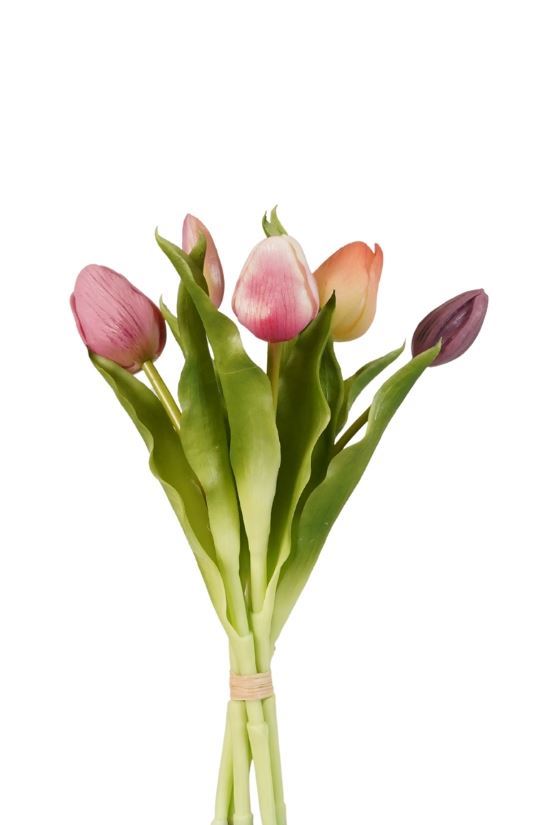 Tulip bundle x5 purple 30cm