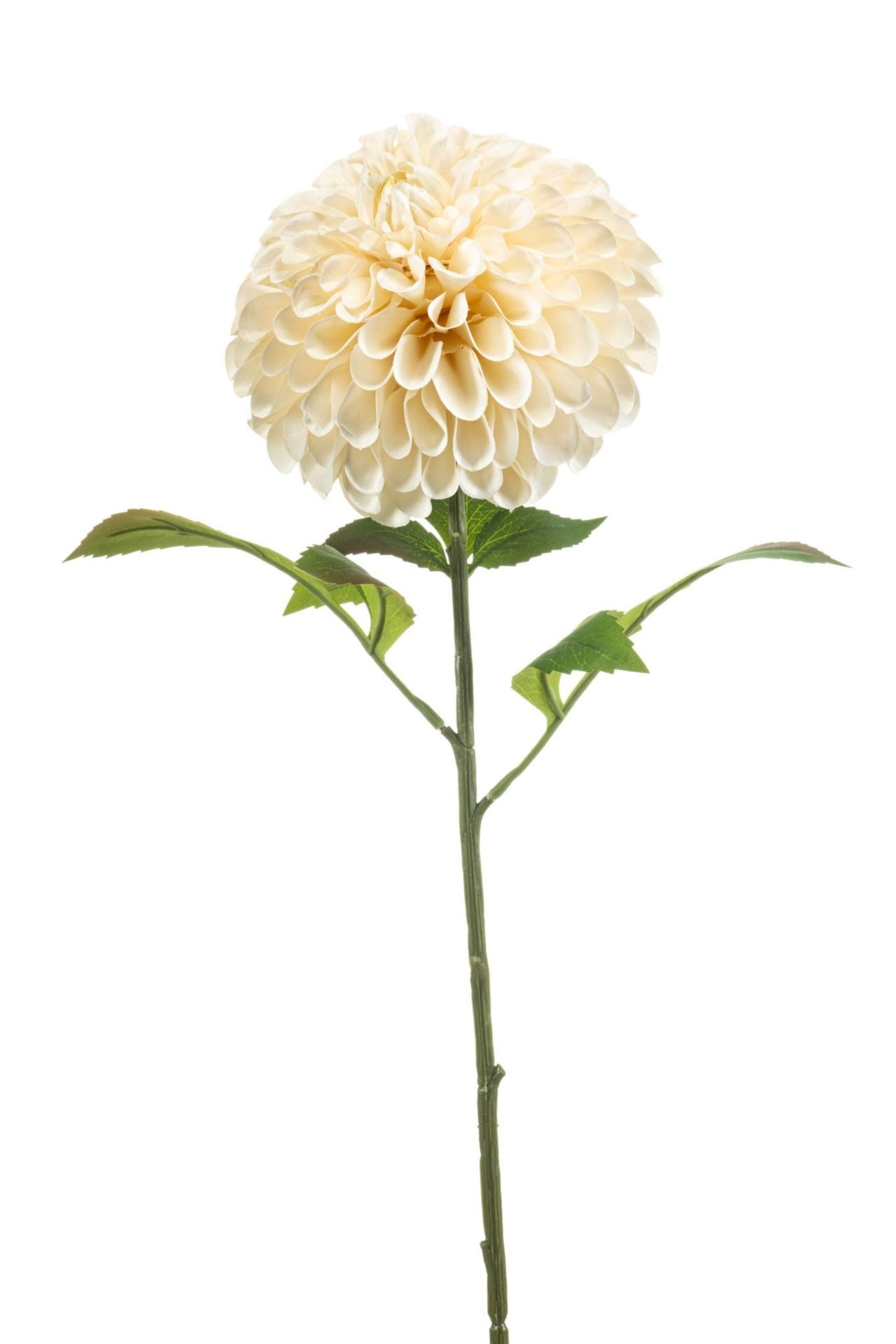 Dahlia pompon spray XL cream 77cm