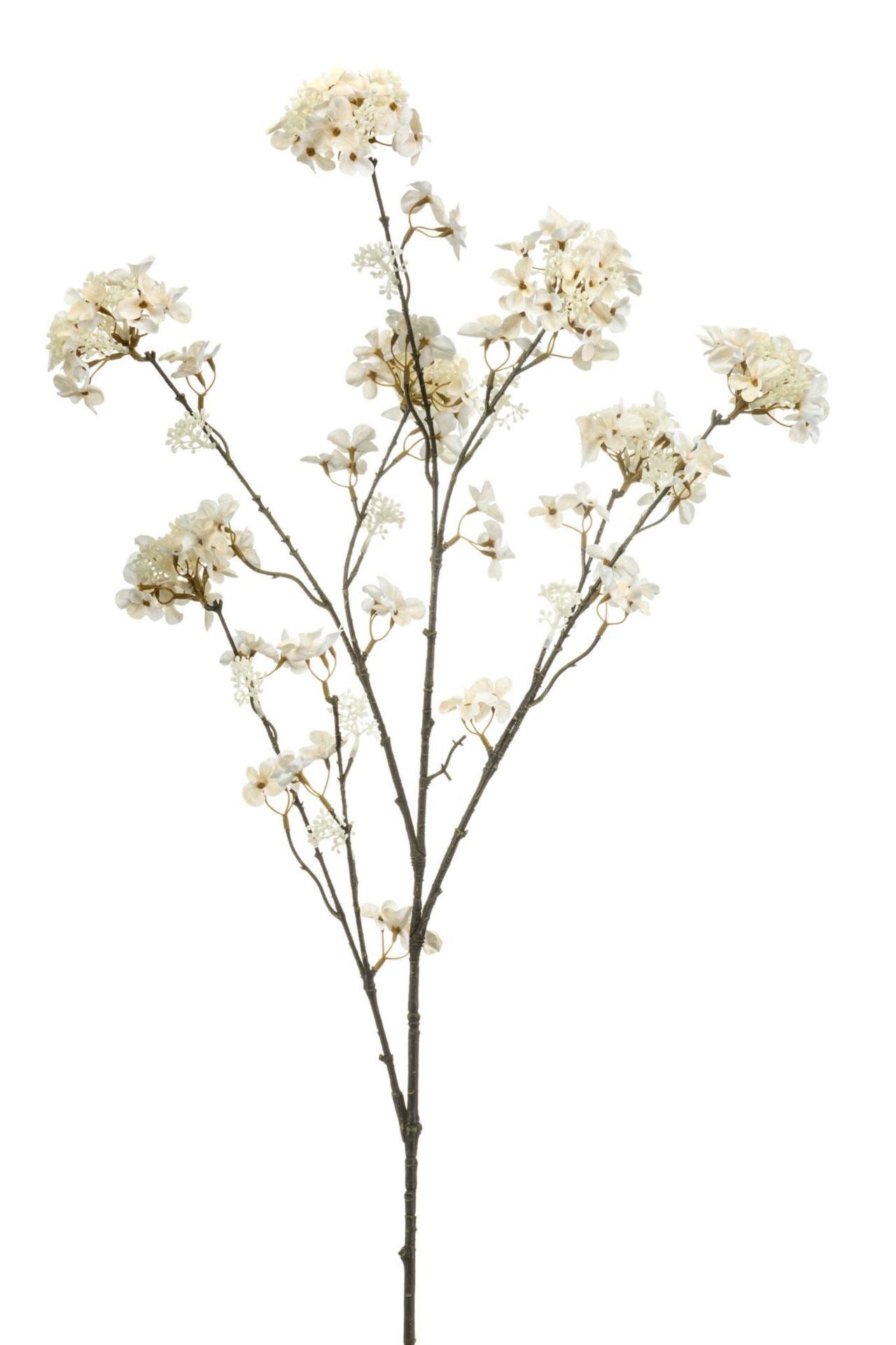 Hydrangea maple spray cream 120cm