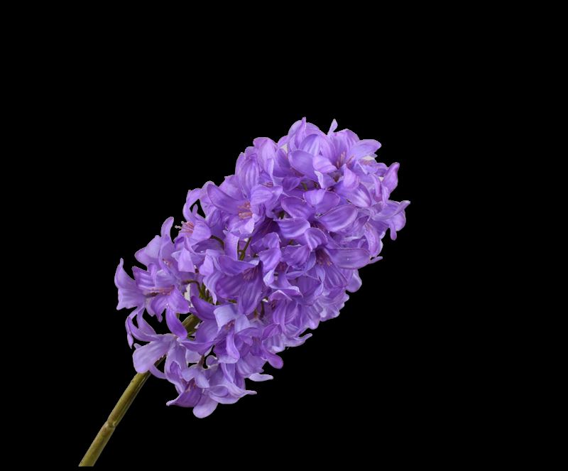 Hyacint steel 73cm licht lavendel 1