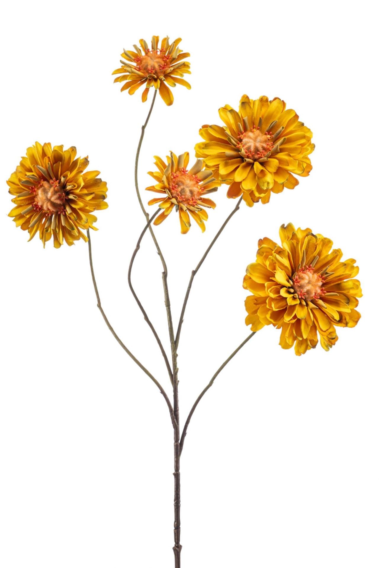 Zinnia spray dk yellow 88cm