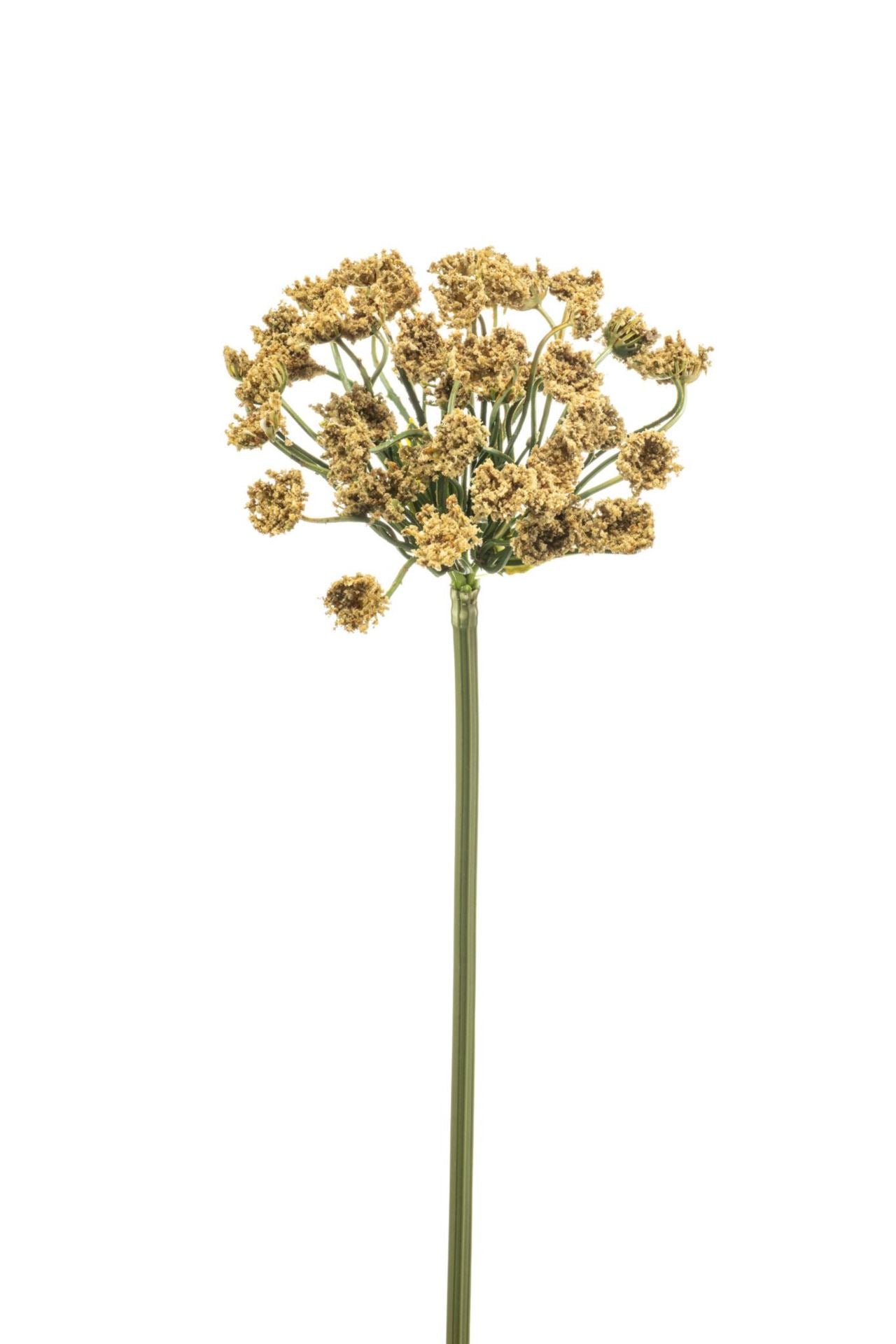 Dill spray lt brown 55cm