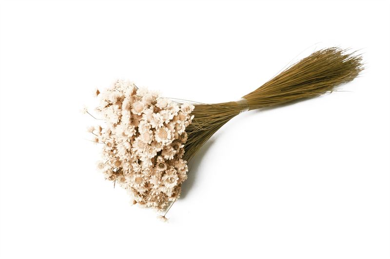 Glixia naturel