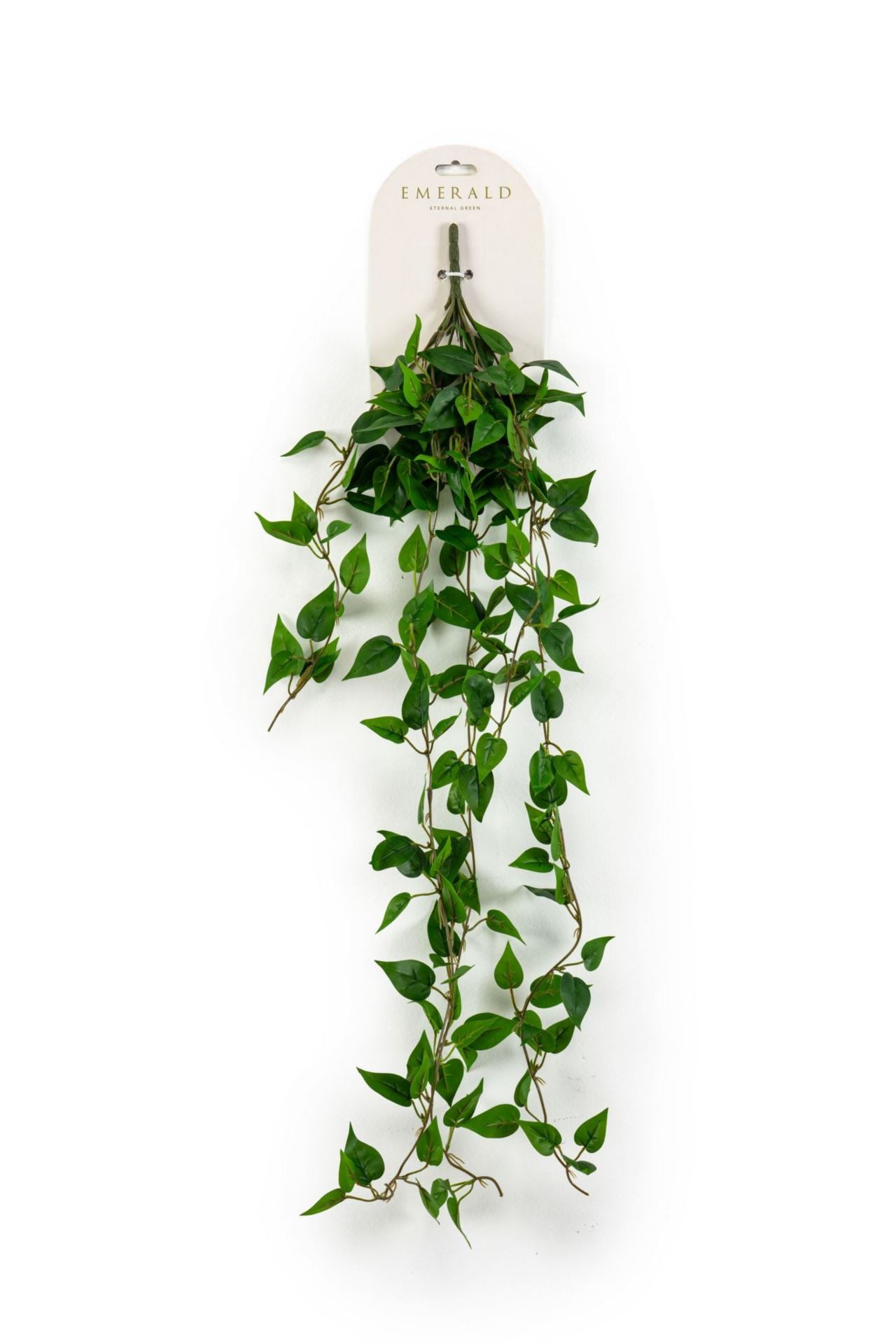 Philodendron hangende struik grn 85