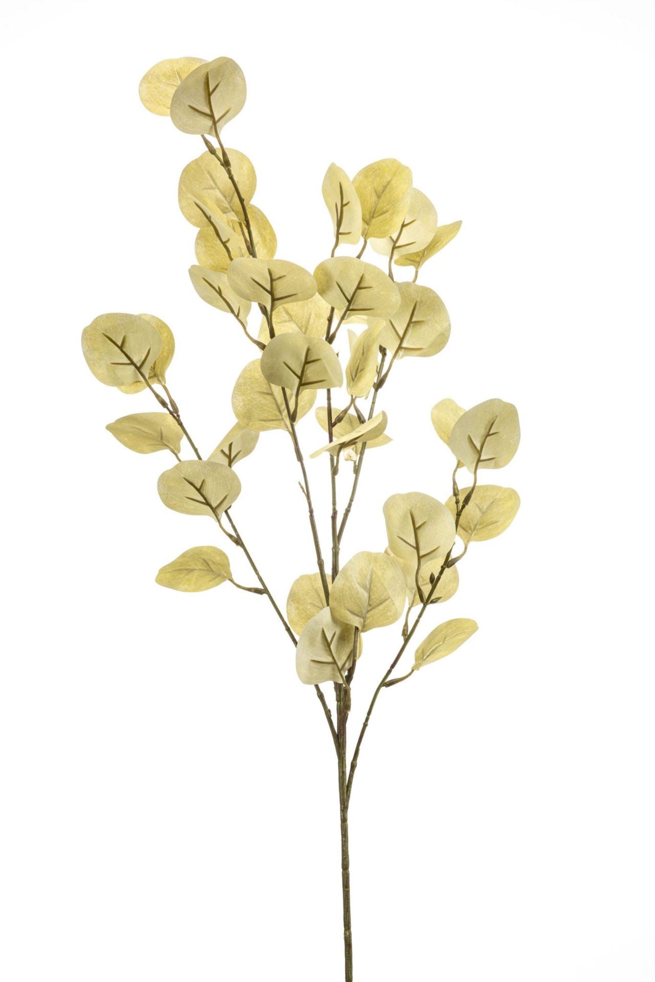Eucalyptus spray beige 85cm