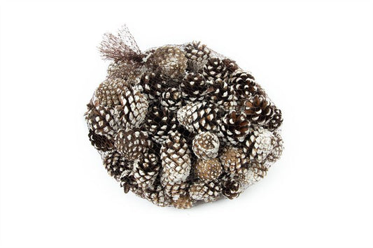 Silvesters net white tip