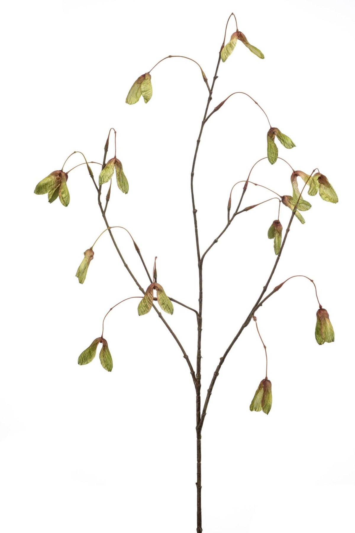 Maple seed spray green 100cm