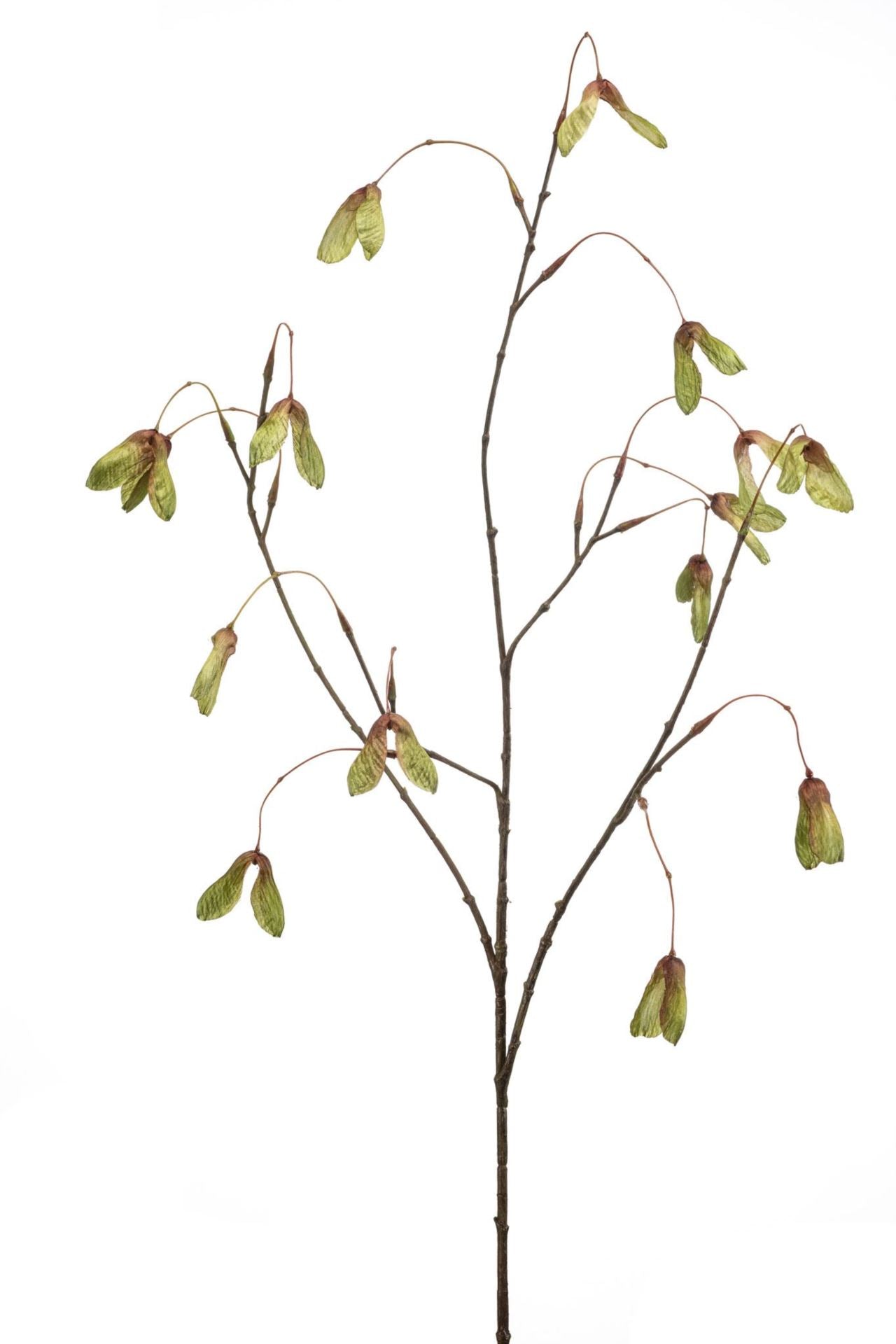 Maple seed spray green 100cm