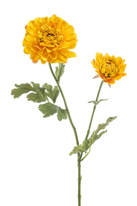 Ranunculus japanese spray yellow 65