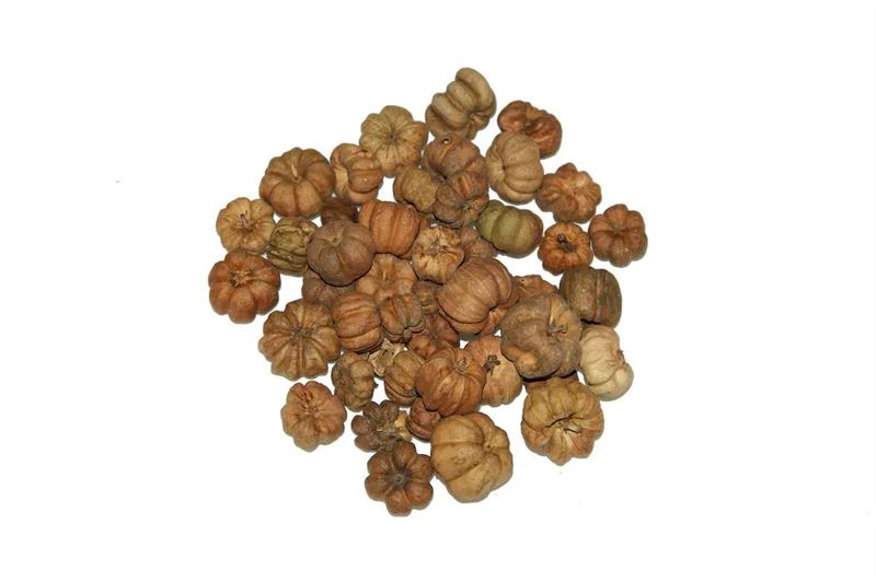 Putka pods naturel 450gr.