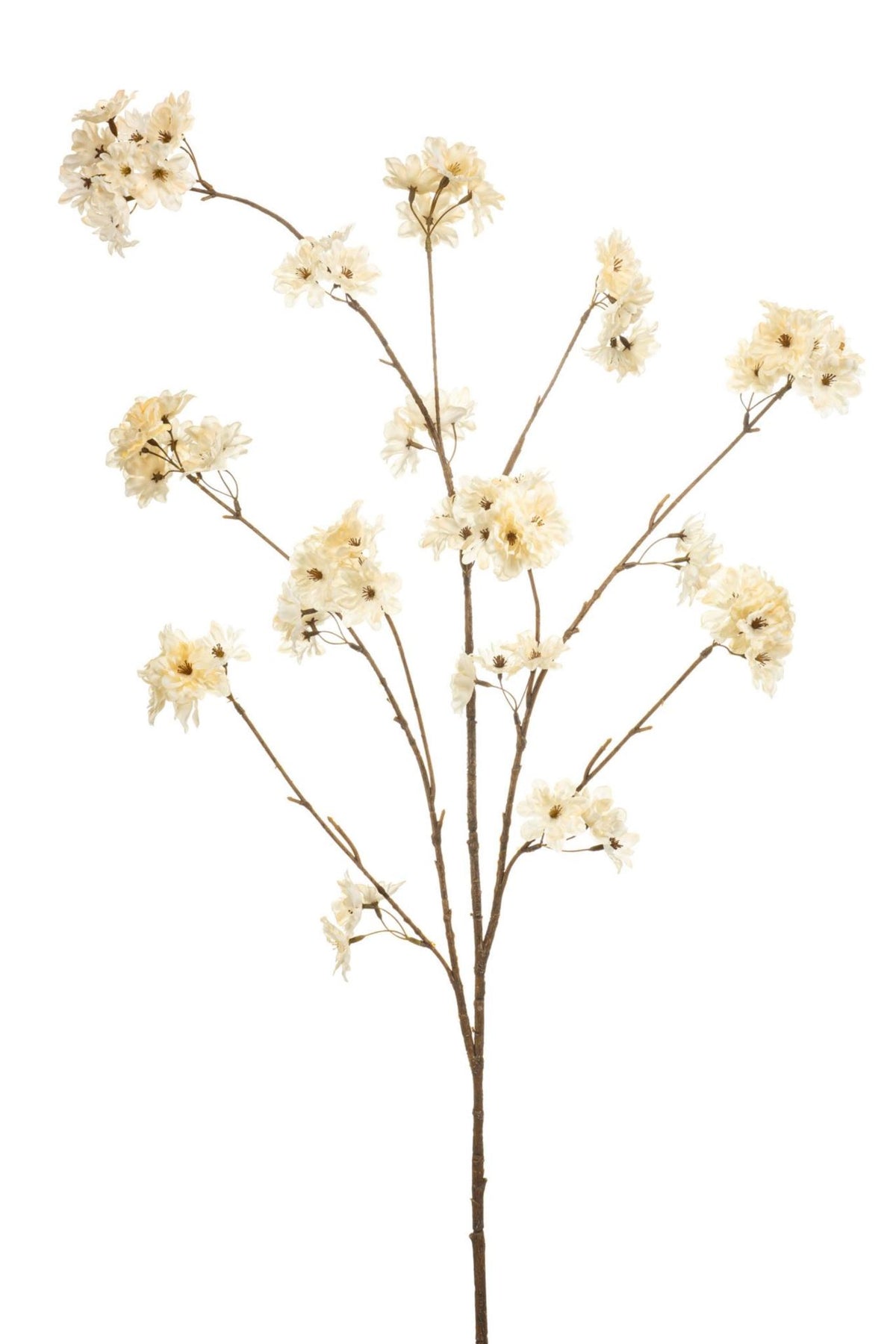 Blossom cherry spray cream 126cm