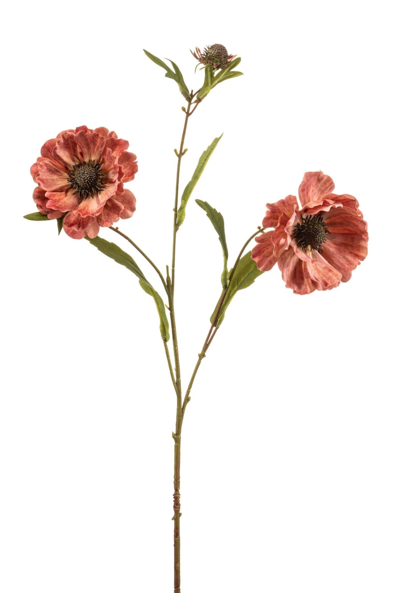 Aster spray mauve 76cm