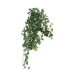 Ivy Chicago hanger XL green 100cm á 4 stuks