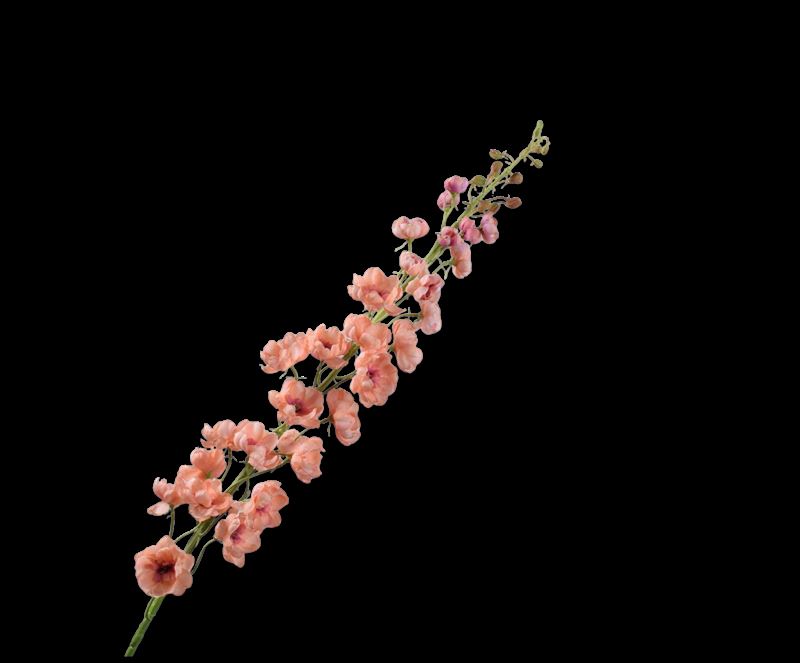 DELPHINIUM STEEL PERZIK  127 cm