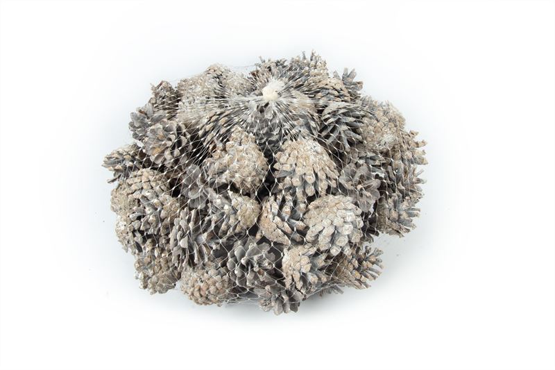 Silvesters in netje stone washed wi
