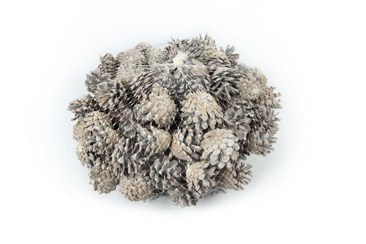 Silvesters in netje stone washed wi