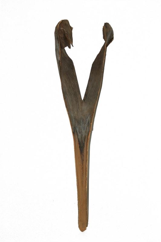 Palm sing naturel