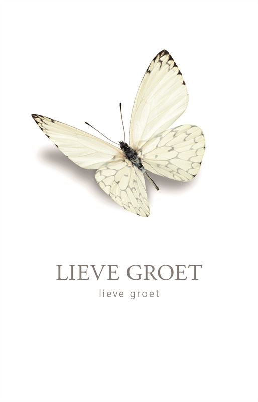 Condoleance Vlinder 'Groot' à 12 St