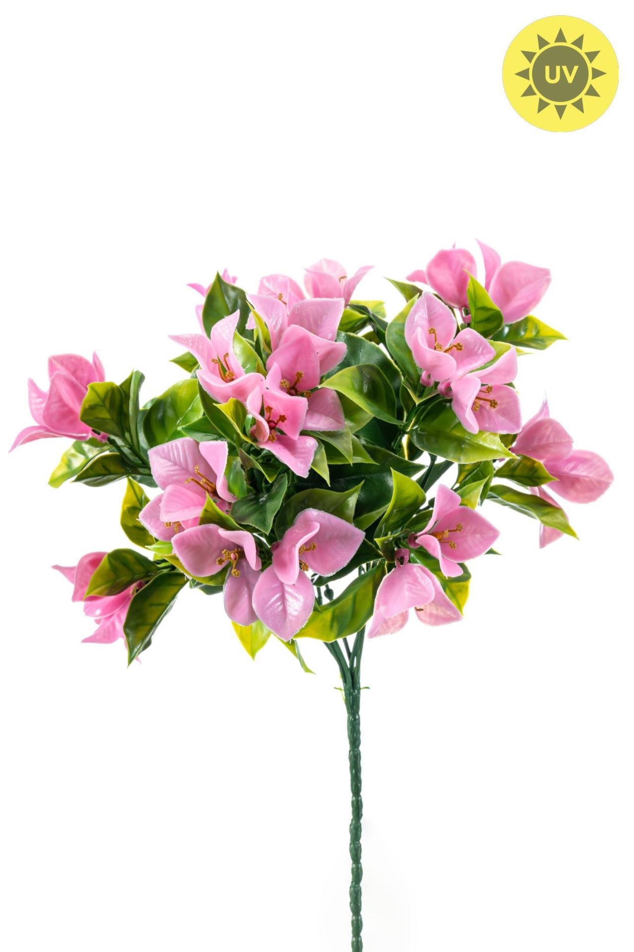 Bougainvillea bush UV pink 30cm