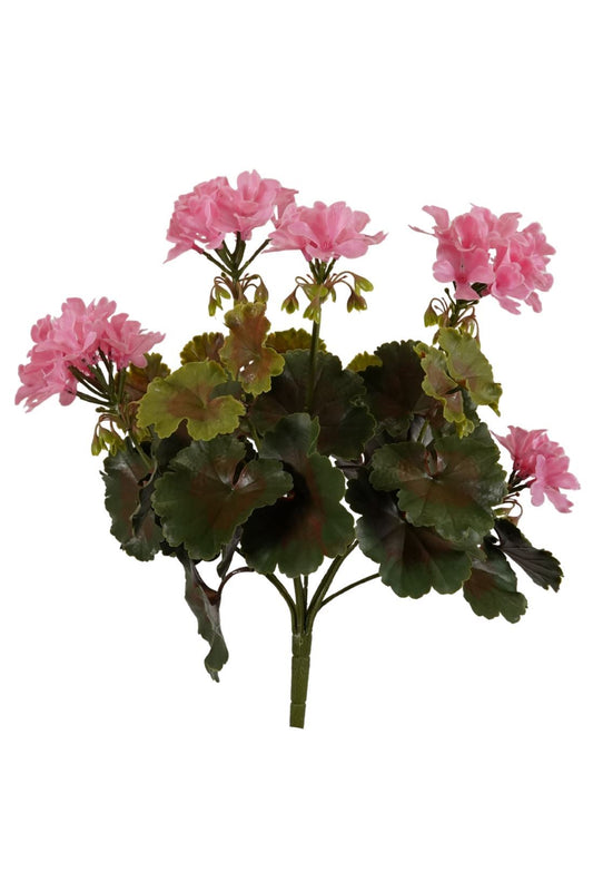 Geranium bush UV pink 38cm