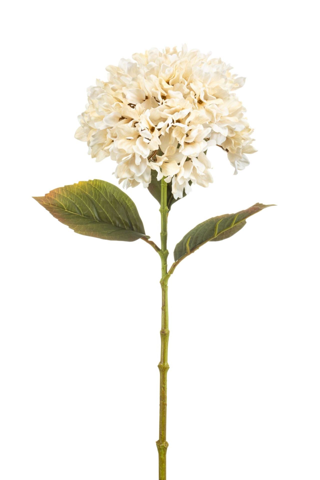 Hydrangea spray cream 75cm