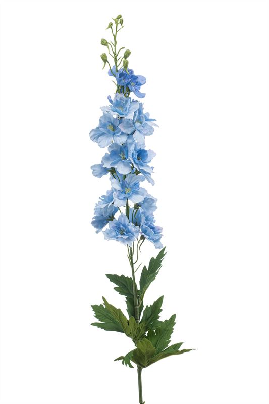 Delphinium tak 90cm licht blauw RT