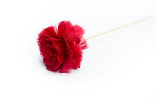 Rozen veren 12cm st. rood