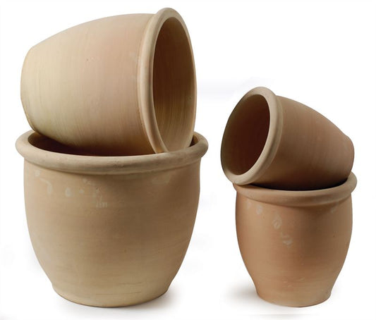Stan Cherry Pot S4 D18/38
