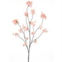 Prunus Malaga spray lt peach 126cm 