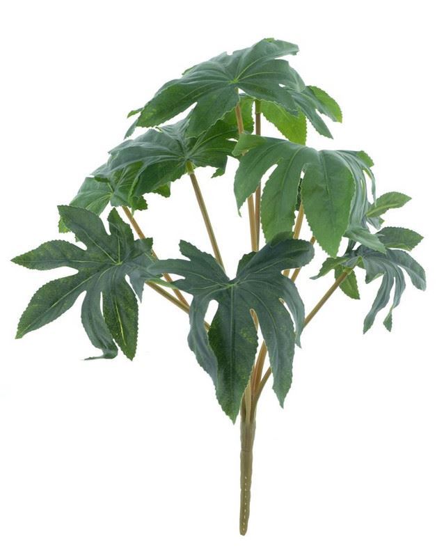 Fatsia japonica bush green 39cm