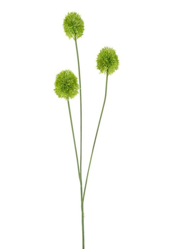 Allium spray green 81cm