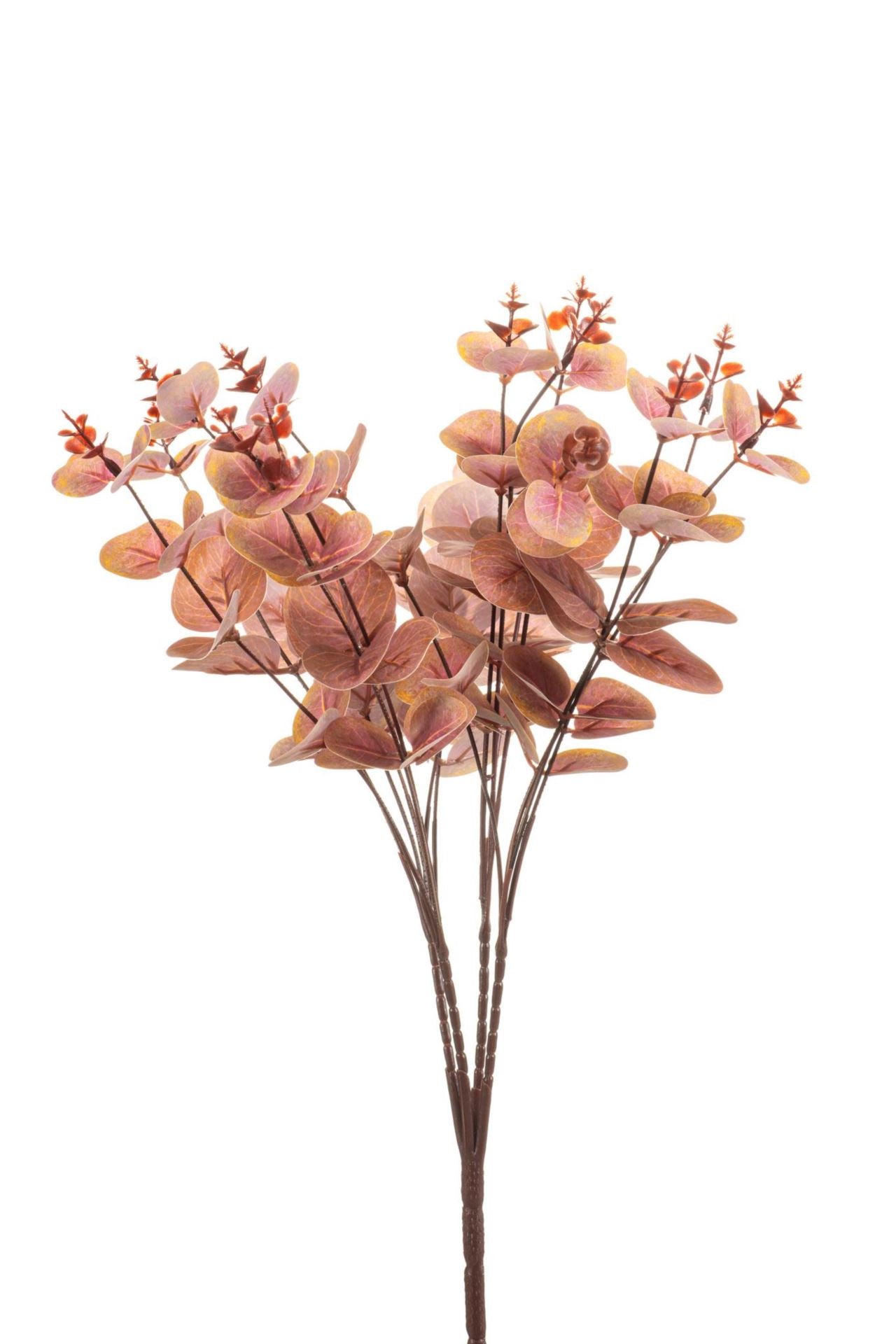 Eucalyptus bush burgundy 47cm