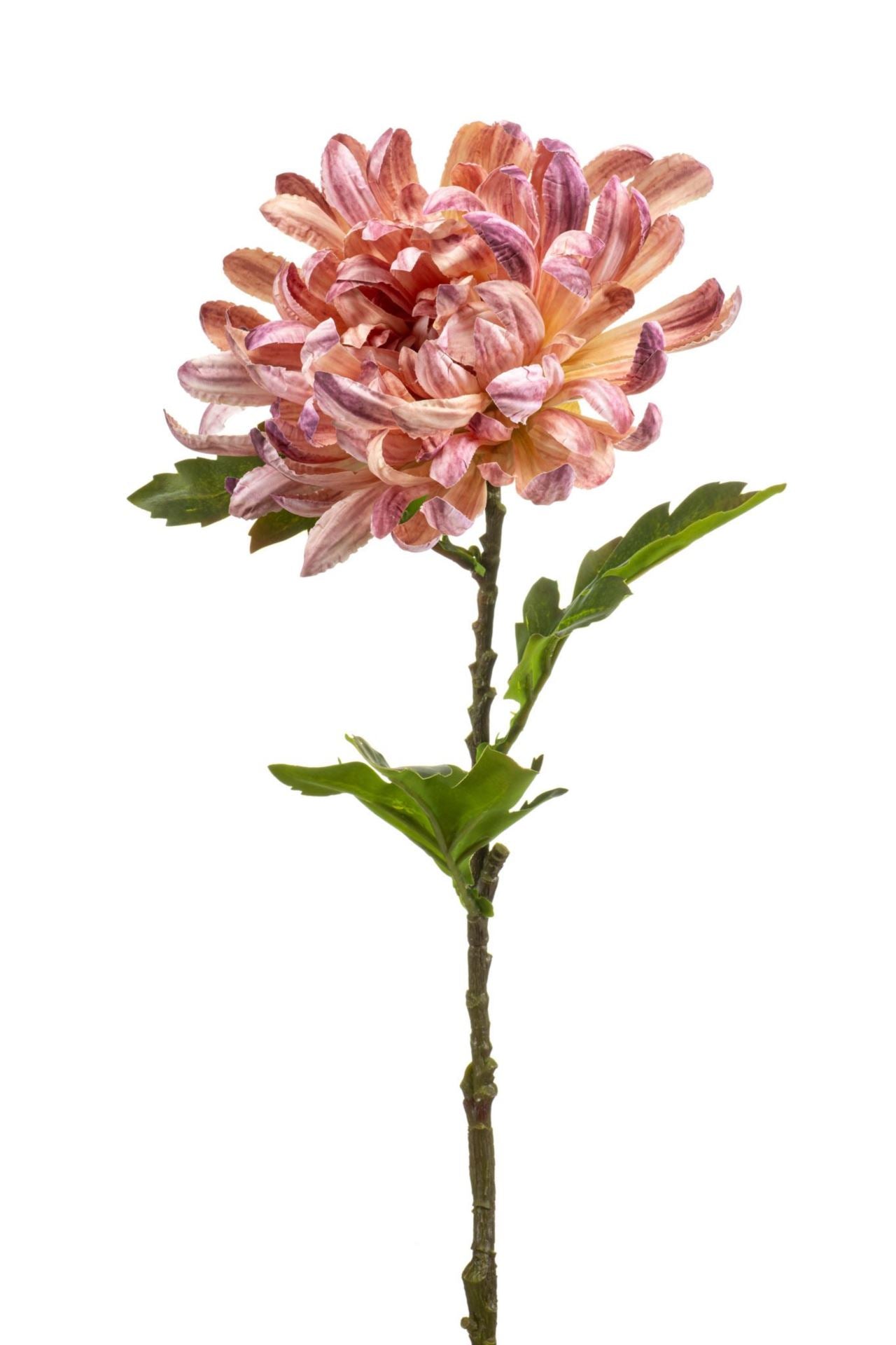 Chrysantum spray pink 60cm