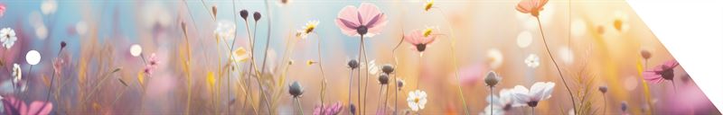 Condoleance Botanic 'ribbon met kra