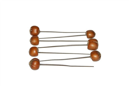 Hazelnoten o/dr. naturel125 st