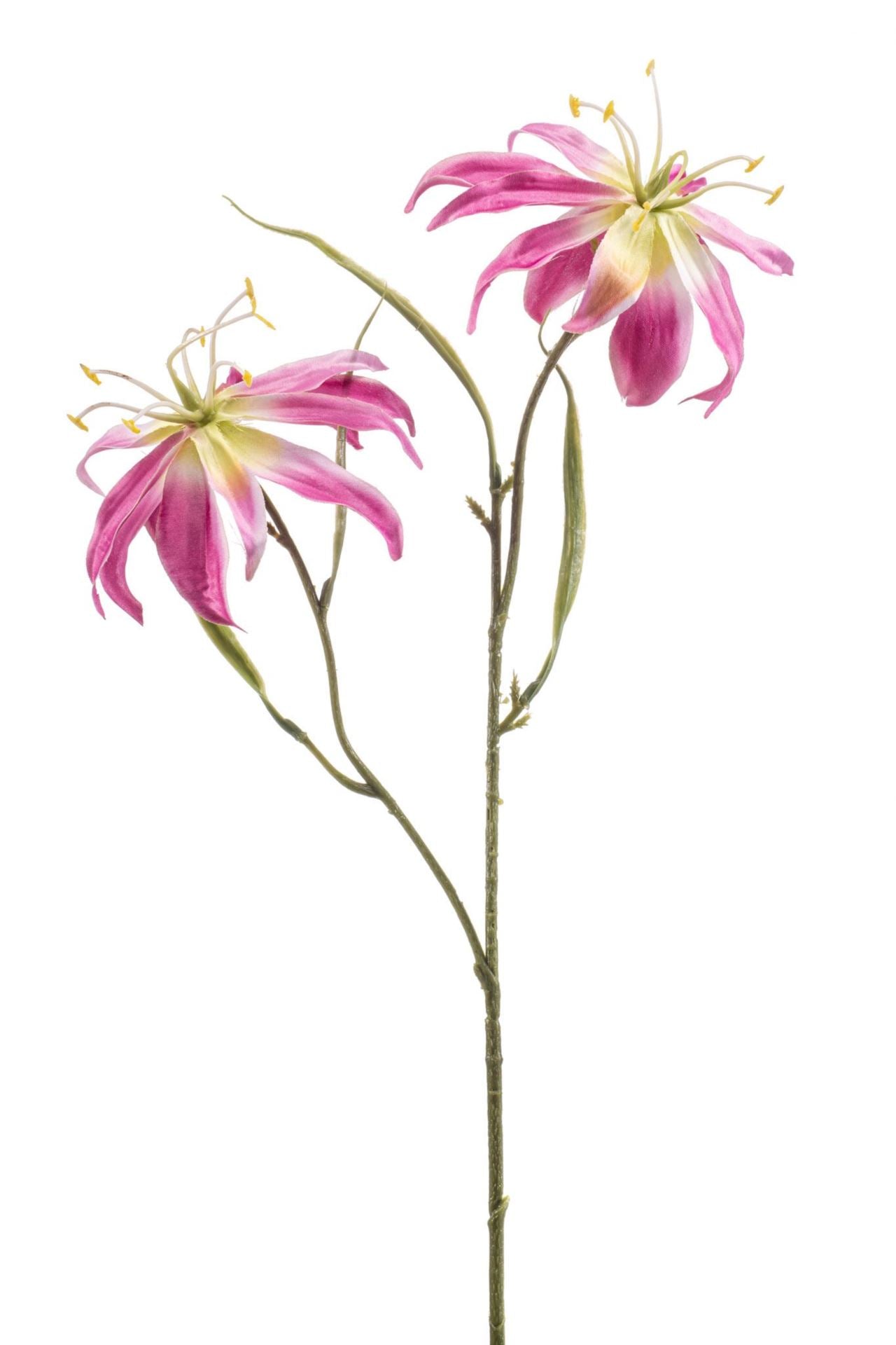 Gloriosa spray pink 58cm