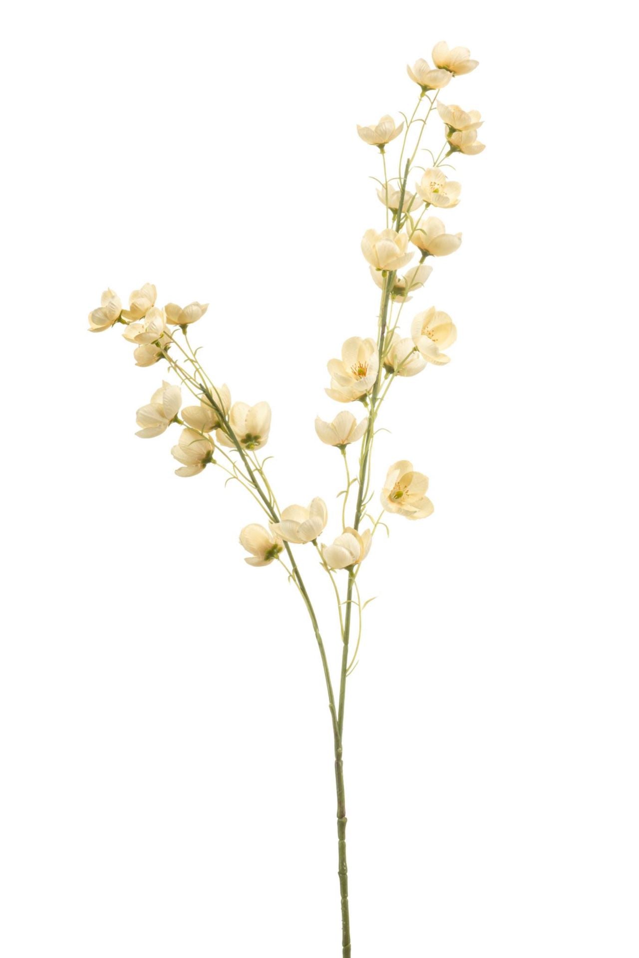 Buttercup spray beige 85cm