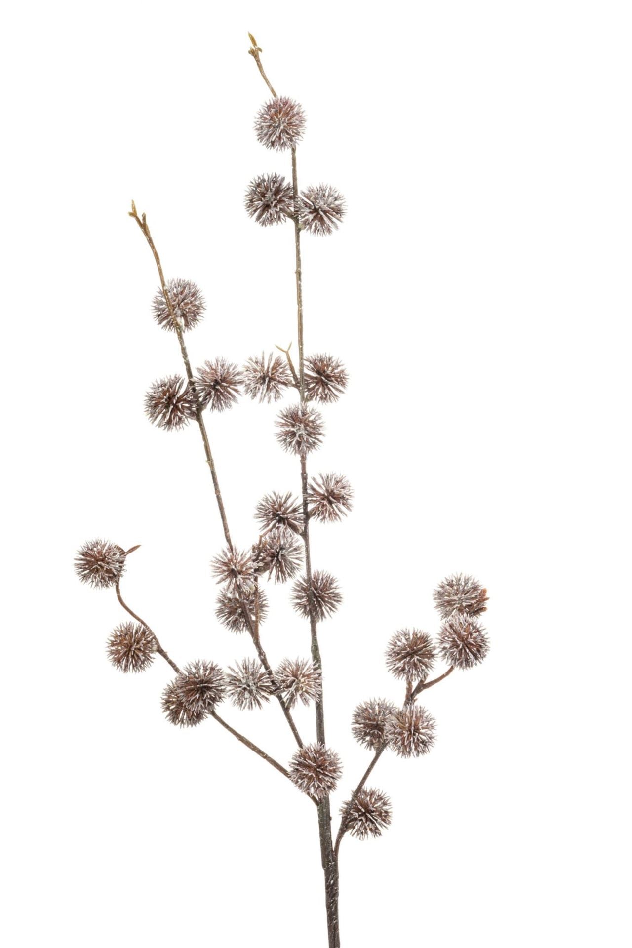 Chestnut spray brown whitewash 85cm