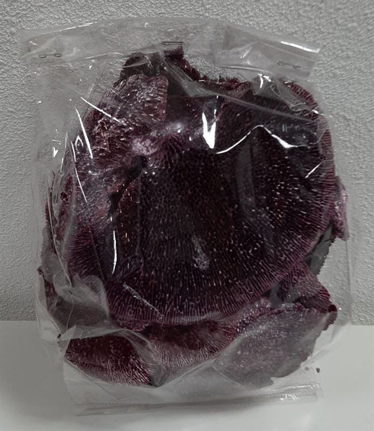 Sponge mushrooms pearl brombeer