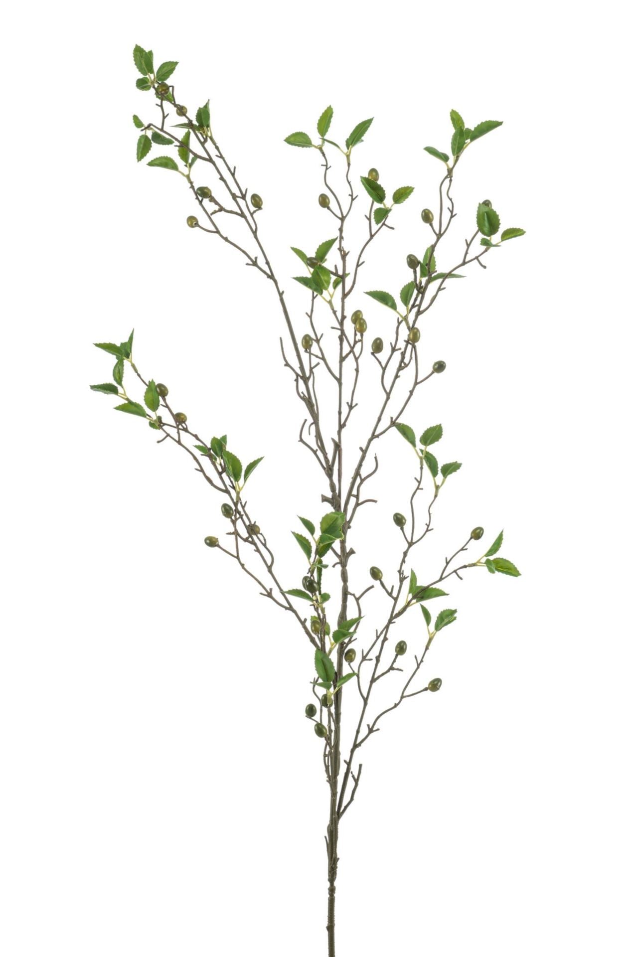 Olive spray green 120cm