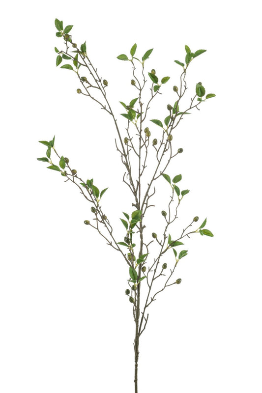 Olive spray green 120cm